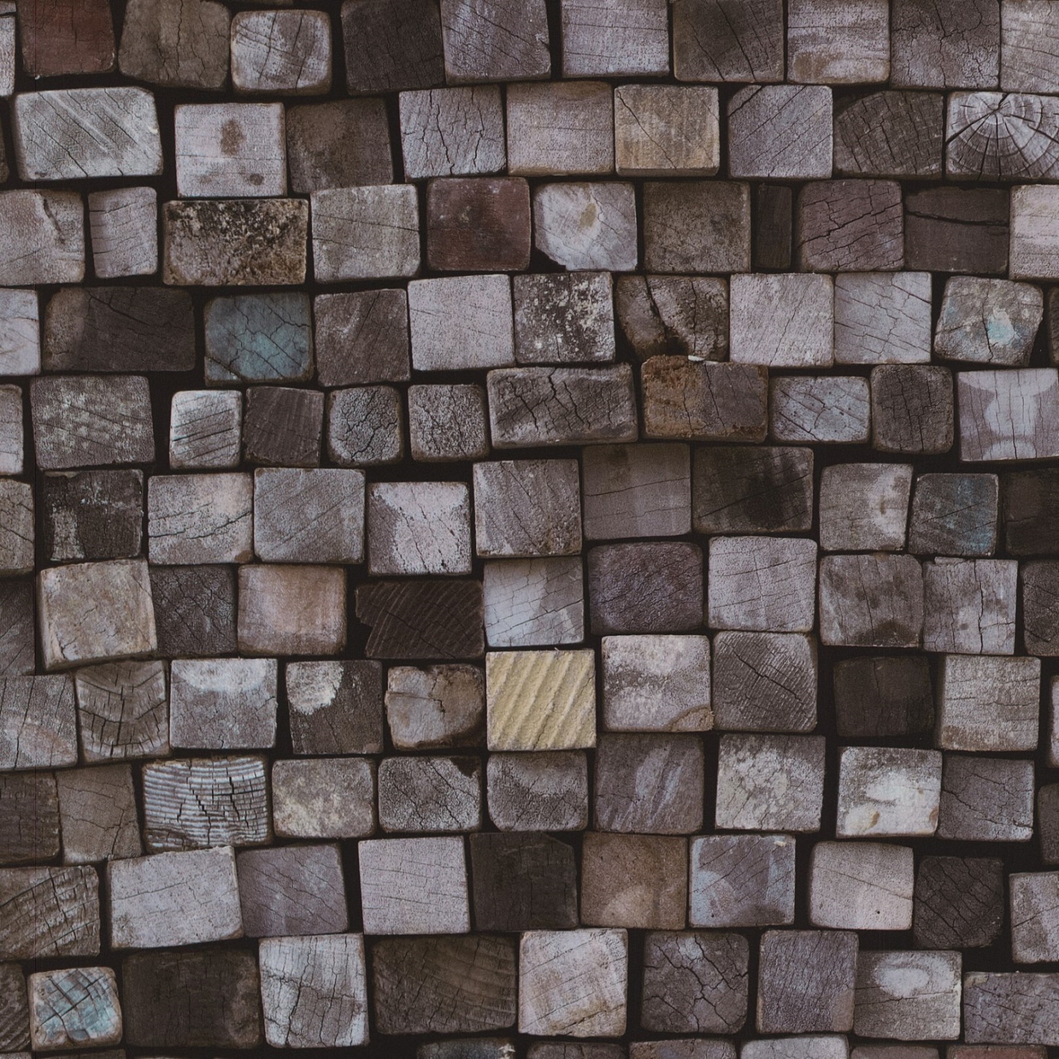 P+S Vliestapete Origin Holz Holzoptik 4210110 P+S Vliestapete Origin Holz Holzoptik 4210110