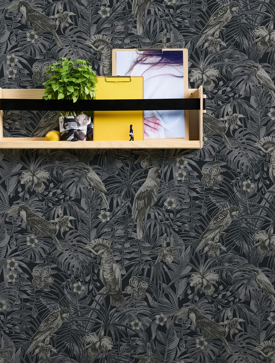 AS Vliestapete Greenery Papagei Dschungel 372104 AS Vliestapete Greenery Papagei Dschungel 372104