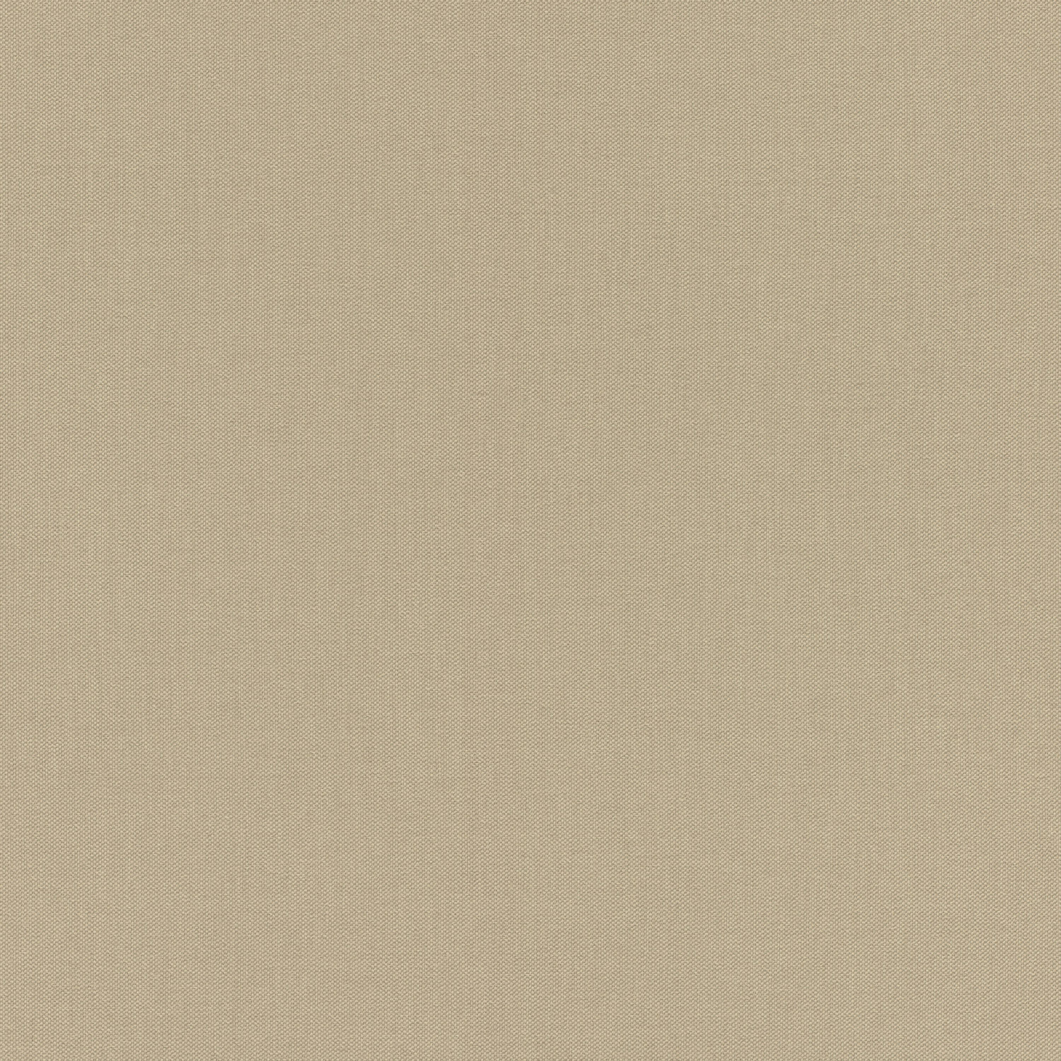 Rasch Vliestapete Poetry Unitapete braun 424096